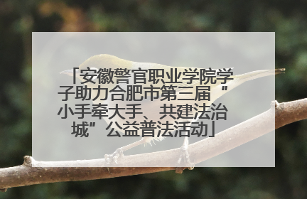 安徽警官职业学院学子助力合肥市第三届“小手牵大手、共建法治城”公益普法活动