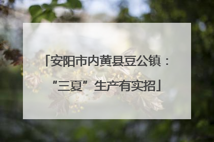 安阳市内黄县豆公镇：“三夏”生产有实招