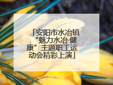安阳市水冶镇“魅力水冶·健康”主题职工运动会精彩上演