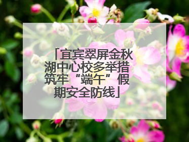 宜宾翠屏金秋湖中心校多举措筑牢“端午”假期安全防线