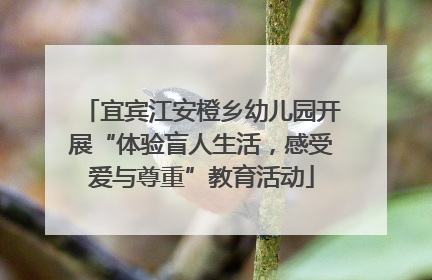 宜宾江安橙乡幼儿园开展“体验盲人生活，感受爱与尊重”教育活动