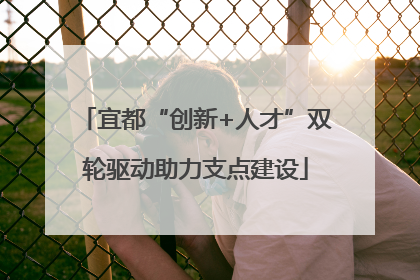宜都“创新+人才”双轮驱动助力支点建设