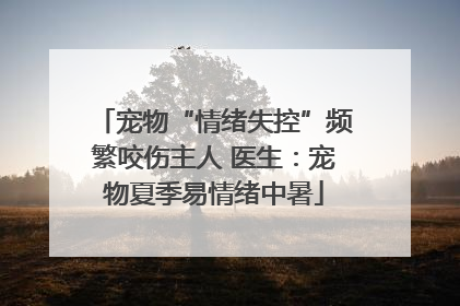 宠物“情绪失控”频繁咬伤主人 医生：宠物夏季易情绪中暑
