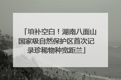填补空白！湖南八面山国家级自然保护区首次记录珍稀物种宽距兰