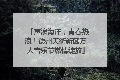 声浪海洋，青春热浪！德州天衢新区万人音乐节燃情绽放