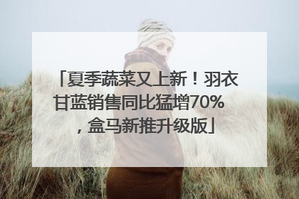 夏季蔬菜又上新！羽衣甘蓝销售同比猛增70%，盒马新推升级版