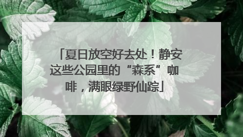 夏日放空好去处！静安这些公园里的“森系”咖啡，满眼绿野仙踪