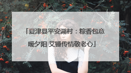 夏津县平安湖村：粽香包意暖夕阳 艾锤传情敬老心