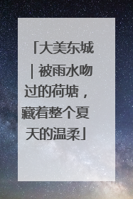 大美东城｜被雨水吻过的荷塘，藏着整个夏天的温柔