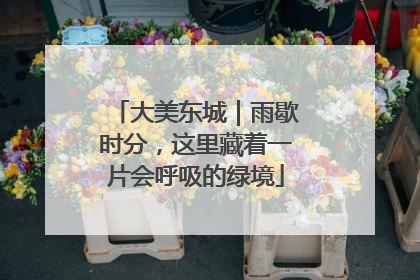 大美东城｜雨歇时分，这里藏着一片会呼吸的绿境