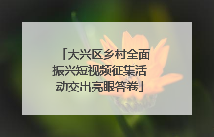 大兴区乡村全面振兴短视频征集活动交出亮眼答卷