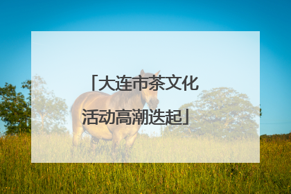 大连市茶文化活动高潮迭起
