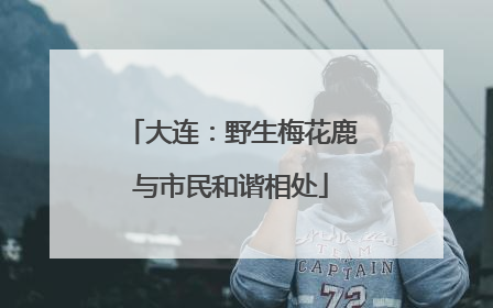 大连：野生梅花鹿与市民和谐相处