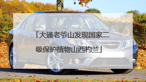 大通老爷山发现国家二级保护植物山西杓兰