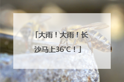 大雨！大雨！长沙马上36℃！