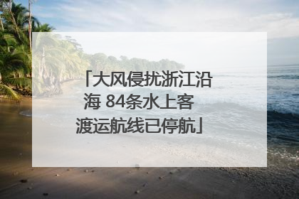 大风侵扰浙江沿海 84条水上客渡运航线已停航