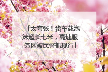 太夸张！货车载泡沫超长七米，高速服务区被民警抓现行