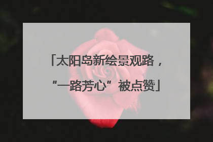 太阳岛新绘景观路，“一路芳心”被点赞
