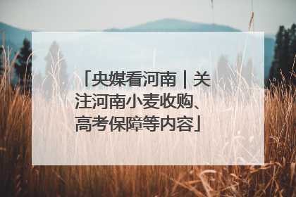 央媒看河南｜关注河南小麦收购、高考保障等内容