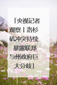 央视记者观察丨洛杉矶冲突持续 暴露联邦与州政府巨大分歧