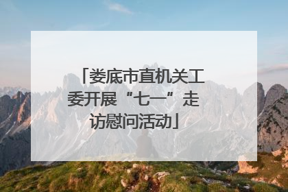 娄底市直机关工委开展“七一”走访慰问活动
