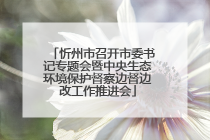忻州市召开市委书记专题会暨中央生态环境保护督察边督边改工作推进会
