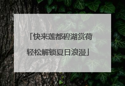 快来莲都碧湖赏荷 轻松解锁夏日浪漫