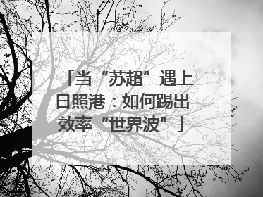 当“苏超”遇上日照港：如何踢出效率“世界波”