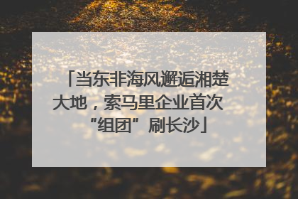 当东非海风邂逅湘楚大地，索马里企业首次“组团”刷长沙