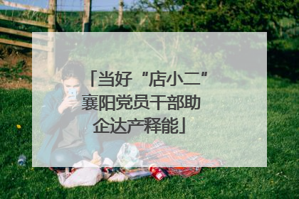 当好“店小二” 襄阳党员干部助企达产释能