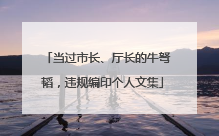 当过市长、厅长的牛弩韬，违规编印个人文集