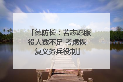 德防长：若志愿服役人数不足 考虑恢复义务兵役制