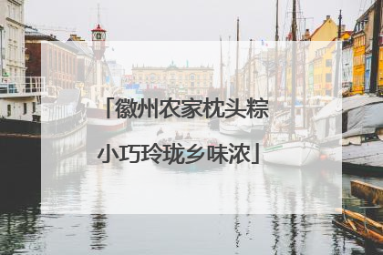 徽州农家枕头粽 小巧玲珑乡味浓