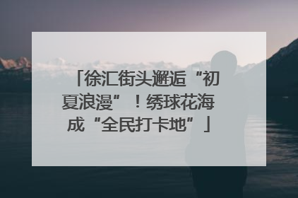 徐汇街头邂逅“初夏浪漫”！绣球花海成“全民打卡地”