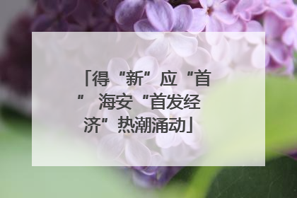 得“新”应“首” 海安“首发经济”热潮涌动