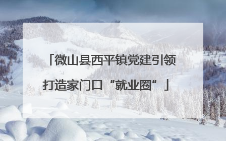 微山县西平镇党建引领打造家门口“就业圈”