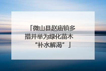 微山县赵庙镇多措并举为绿化苗木“补水解渴”
