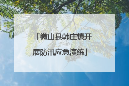 微山县韩庄镇开展防汛应急演练