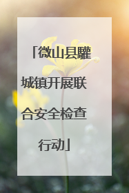 微山县驩城镇开展联合安全检查行动