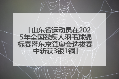 山东省运动员在2025年全国残疾人羽毛球锦标赛暨东京聋奥会选拔赛中斩获3银1铜