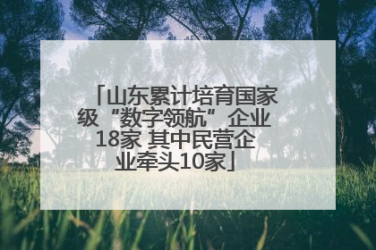 山东累计培育国家级“数字领航”企业18家 其中民营企业牵头10家