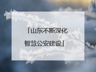 山东不断深化智慧公安建设