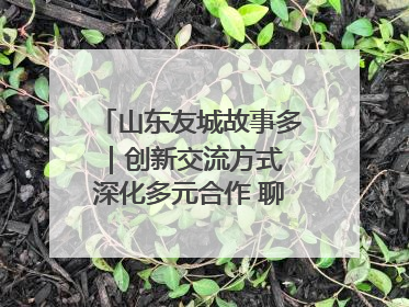 山东友城故事多｜创新交流方式 深化多元合作 聊城加速构建全球友城新格局