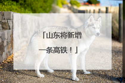 山东将新增一条高铁！
