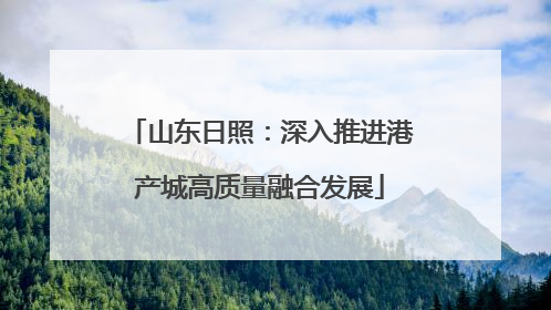 山东日照：深入推进港产城高质量融合发展