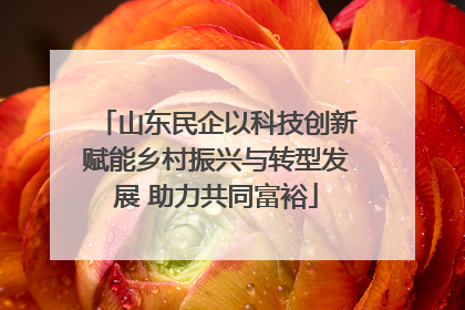 山东民企以科技创新赋能乡村振兴与转型发展 助力共同富裕