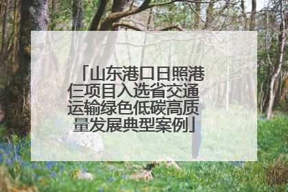 山东港口日照港仨项目入选省交通运输绿色低碳高质量发展典型案例