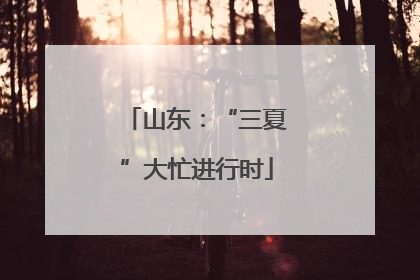 山东：“三夏”大忙进行时