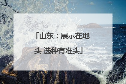 山东：展示在地头 选种有准头