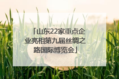 山东22家重点企业亮相第九届丝绸之路国际博览会
